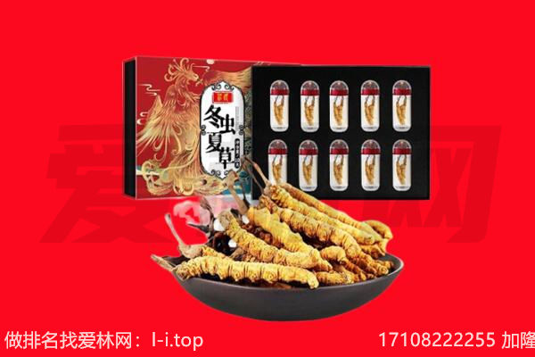 天津宝坻区回收虫草.jpg